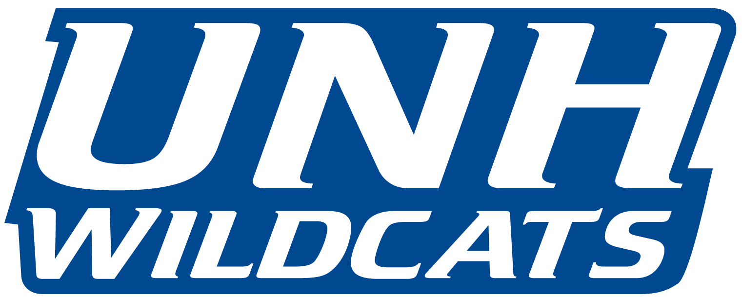New Hampshire Wildcats 2000-Pres Wordmark Logo t shirts iron on transfers v5